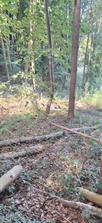Bild von Waldgasthof Westerburg