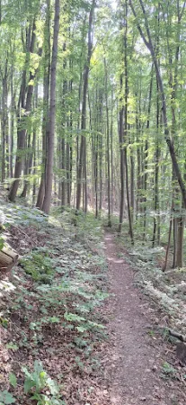Bild von Waldgasthof Westerburg