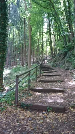 Bild von Waldgasthof Westerburg
