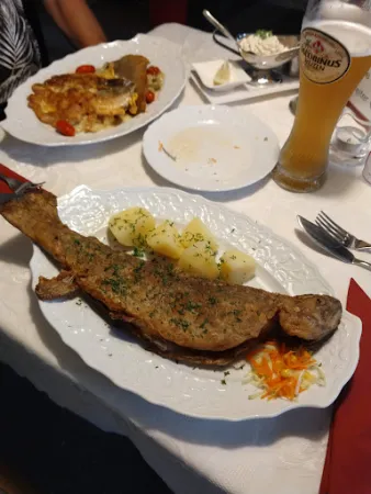 Bild von Gasthaus Forellenhof