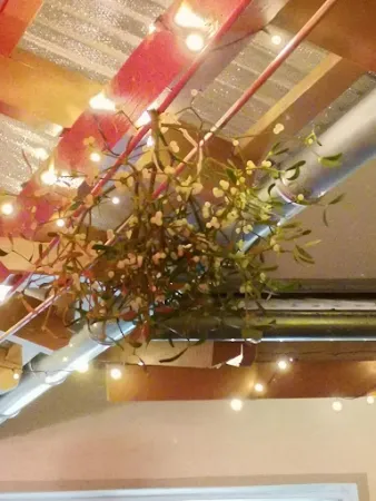Bild von Café in der Bodemühle