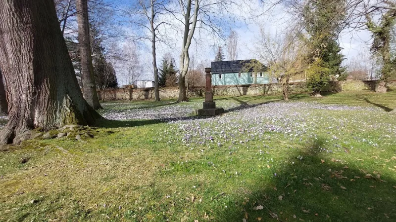Bild von undefined