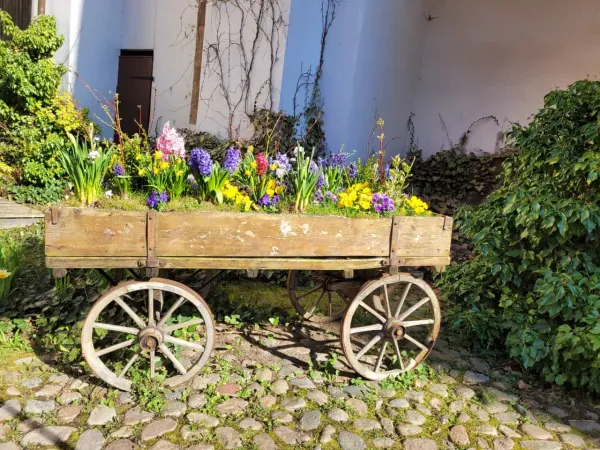 Bild von undefined