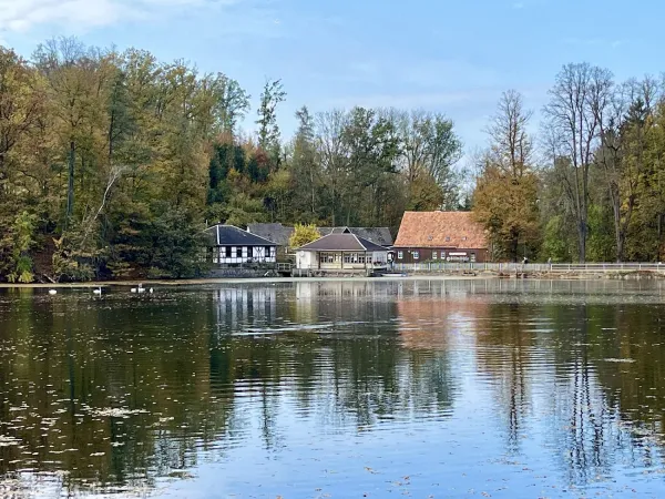 Bild von undefined
