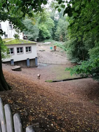 Bild von undefined