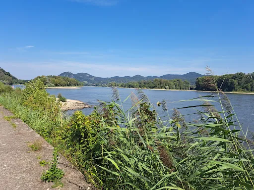 Bild von Biergarten Rolandseck - Vulkan Beach