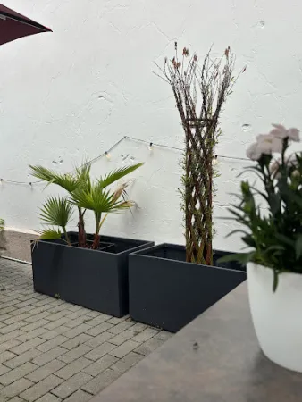 Bild von KÖNIG's Restaurant