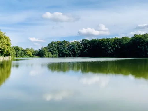 Bild von Gasthof Höllmühle - Gerd Richter