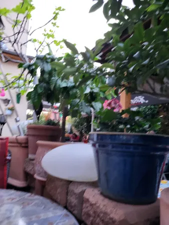 Bild von Pizzeria Mammuzza Mia
