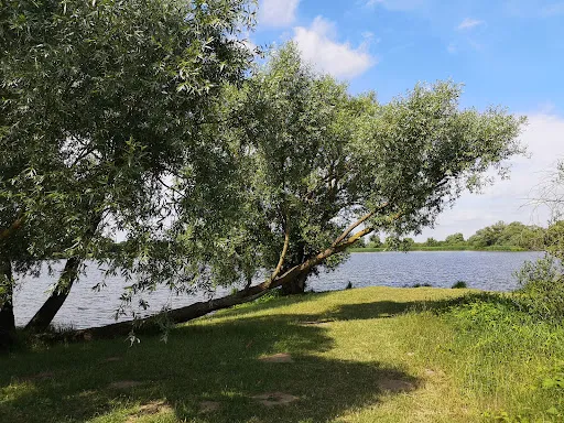 Bild von Biergarten und Bootsverleih