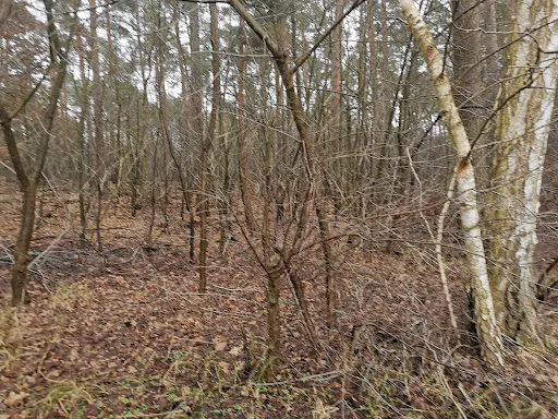Bild von Fischerei Pfefferkorn