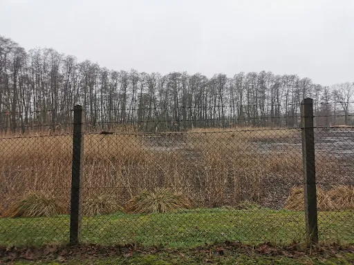 Bild von Fischerei Pfefferkorn