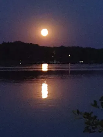 Bild von Biergarten am Scharmützelsee