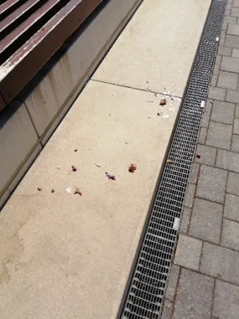 Bild von Waldalgesheimer Kebab- & Pizzahaus
