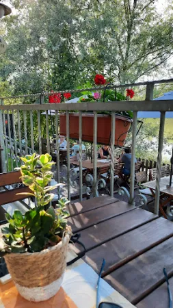 Bild von Restaurant Zum Anglerheim Nackenheim