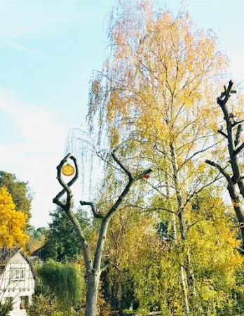 Bild von Hotel und Restaurant Raueneck