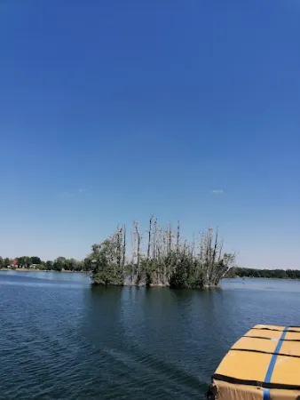 Bild von Bad Saarow Schifffahrts GmbH