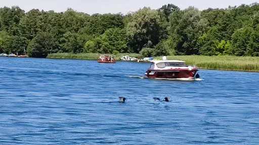 Bild von Bad Saarow Schifffahrts GmbH