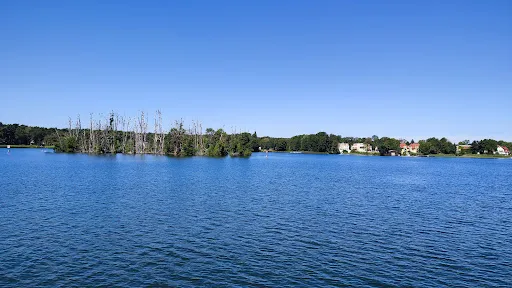 Bild von Bad Saarow Schifffahrts GmbH