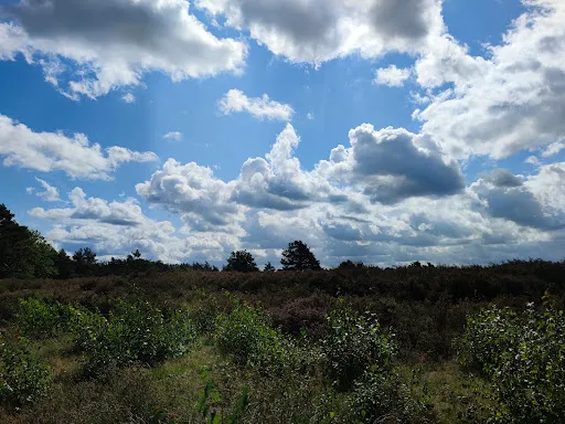 Bild von Pfälzer Dampfnudelhof