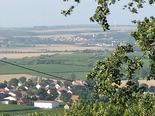Bild von Stöckbauers Weinkastell