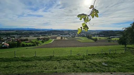 Bild von Heuriger Am Hochfeld