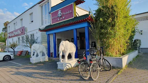 Bild von Asia Panda