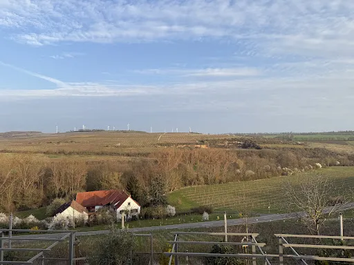 Bild von Trautwein - Das Winzerhotel am La Roche