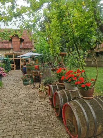 Bild von Weinlokal Haus Thiel
