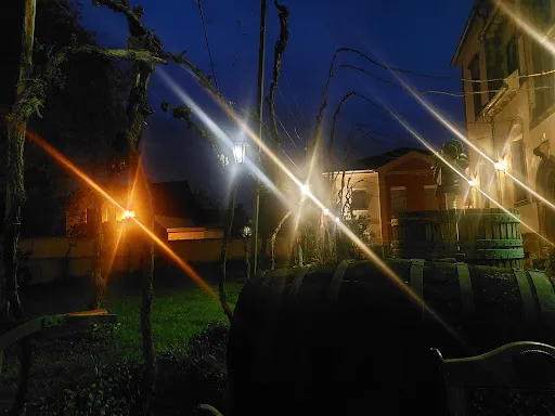 Bild von Weinlokal Haus Thiel
