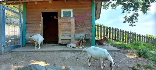 Bild von Schützenhaus Wolfsgrube