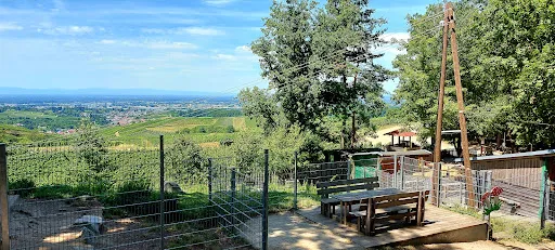 Bild von Schützenhaus Wolfsgrube
