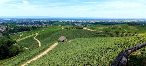 Bild von Schützenhaus Wolfsgrube