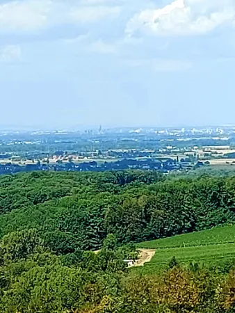Bild von Schützenhaus Wolfsgrube