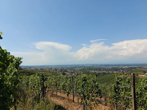 Bild von Schützenhaus Wolfsgrube