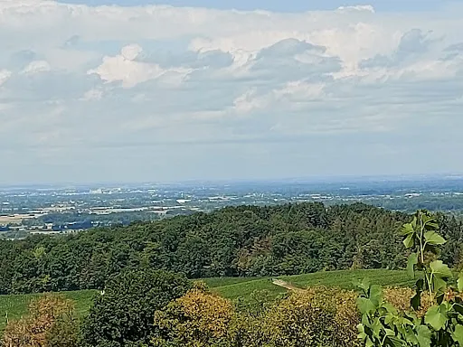 Bild von Schützenhaus Wolfsgrube