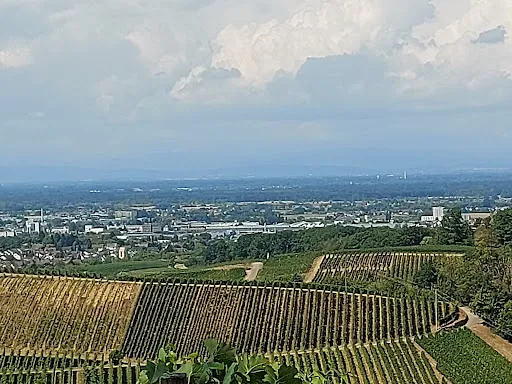 Bild von Schützenhaus Wolfsgrube