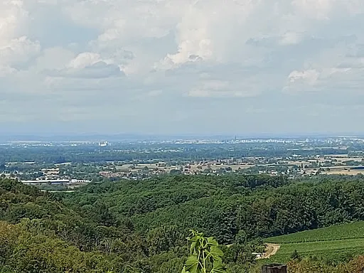 Bild von Schützenhaus Wolfsgrube