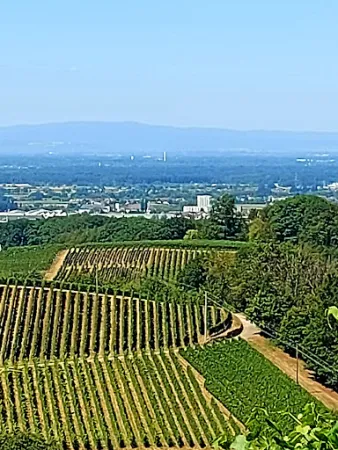 Bild von Schützenhaus Wolfsgrube