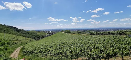 Bild von Schützenhaus Wolfsgrube