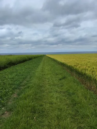 Bild von Hofladen Straussenfarm Ostseeblick