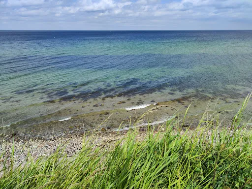 Bild von Hofladen Straussenfarm Ostseeblick