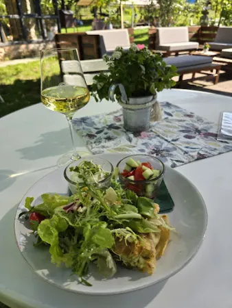Bild von Weingarten im Weingut Gebert