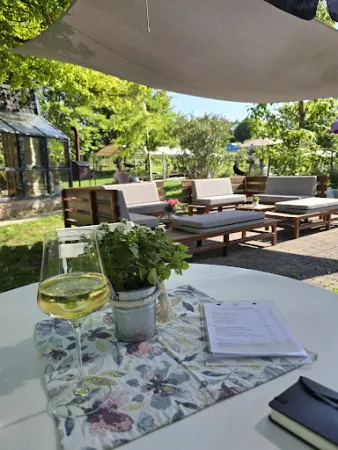 Bild von Weingarten im Weingut Gebert