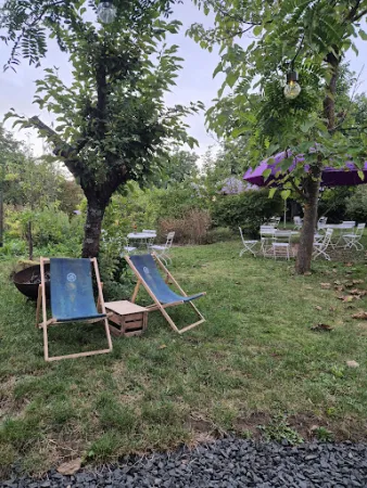 Bild von Weingarten im Weingut Gebert