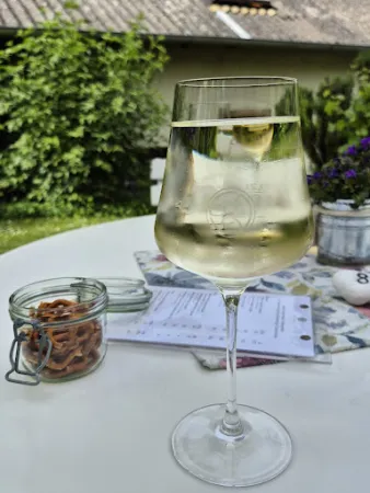 Bild von Weingarten im Weingut Gebert