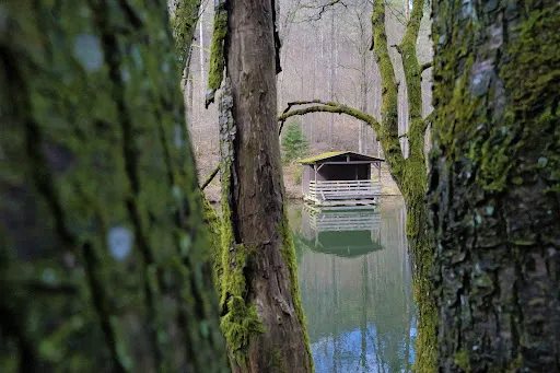 Bild von Oppauer Haus Naturfreundehaus