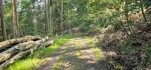 Bild von Oppauer Haus Naturfreundehaus