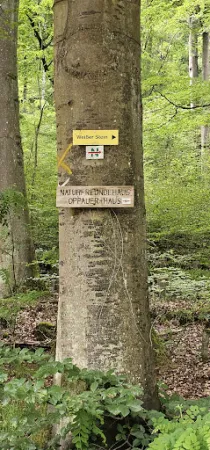 Bild von Oppauer Haus Naturfreundehaus