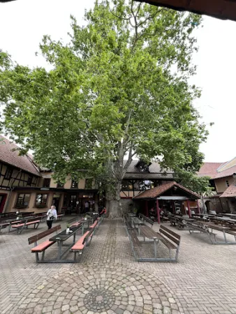 Bild von Bonnheimer Hof